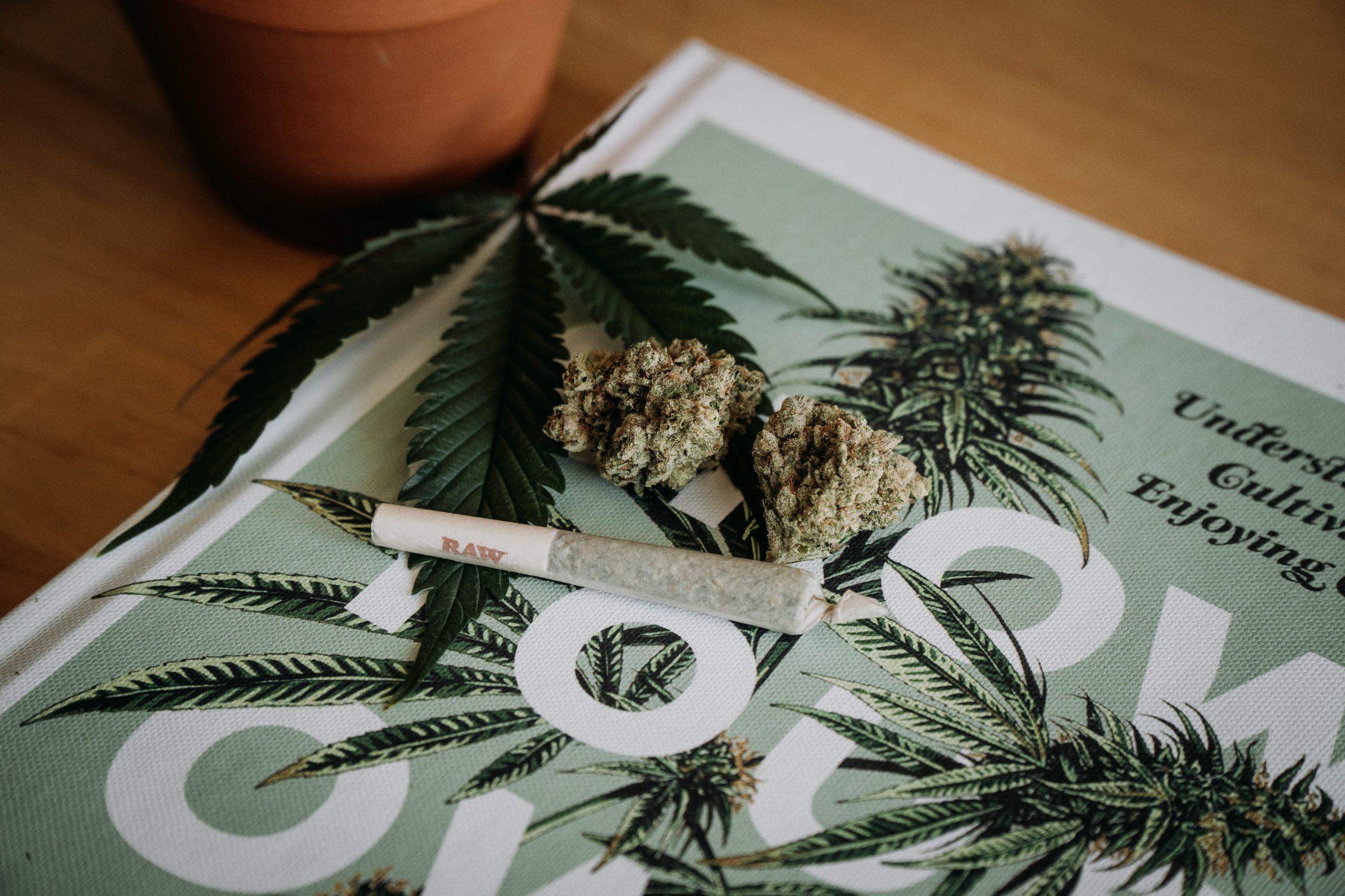 Pre-rolls and flower placed on a magazine