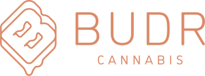 Budr Cannabis logo