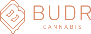 Budr Cannabis - Danbury - Federal Road
