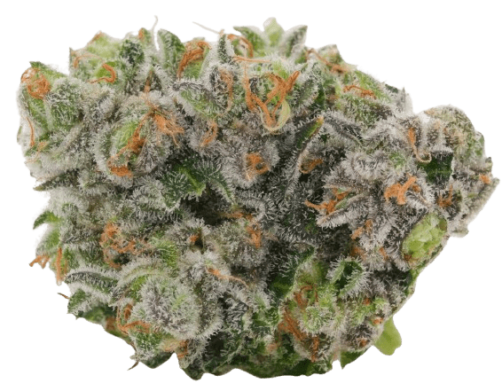 Cannabis flower