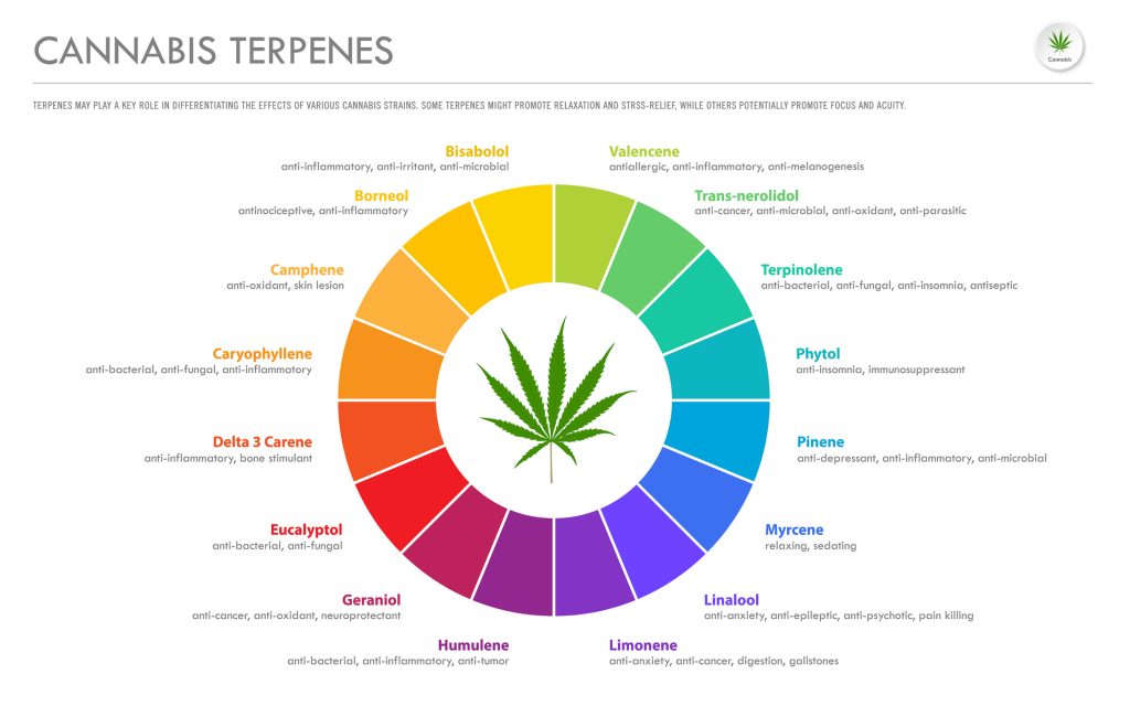 A cannabis terpenes chart defining the effects of each terpene found in marijuana